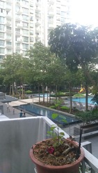 Park Green (D19), Condominium #164127042
